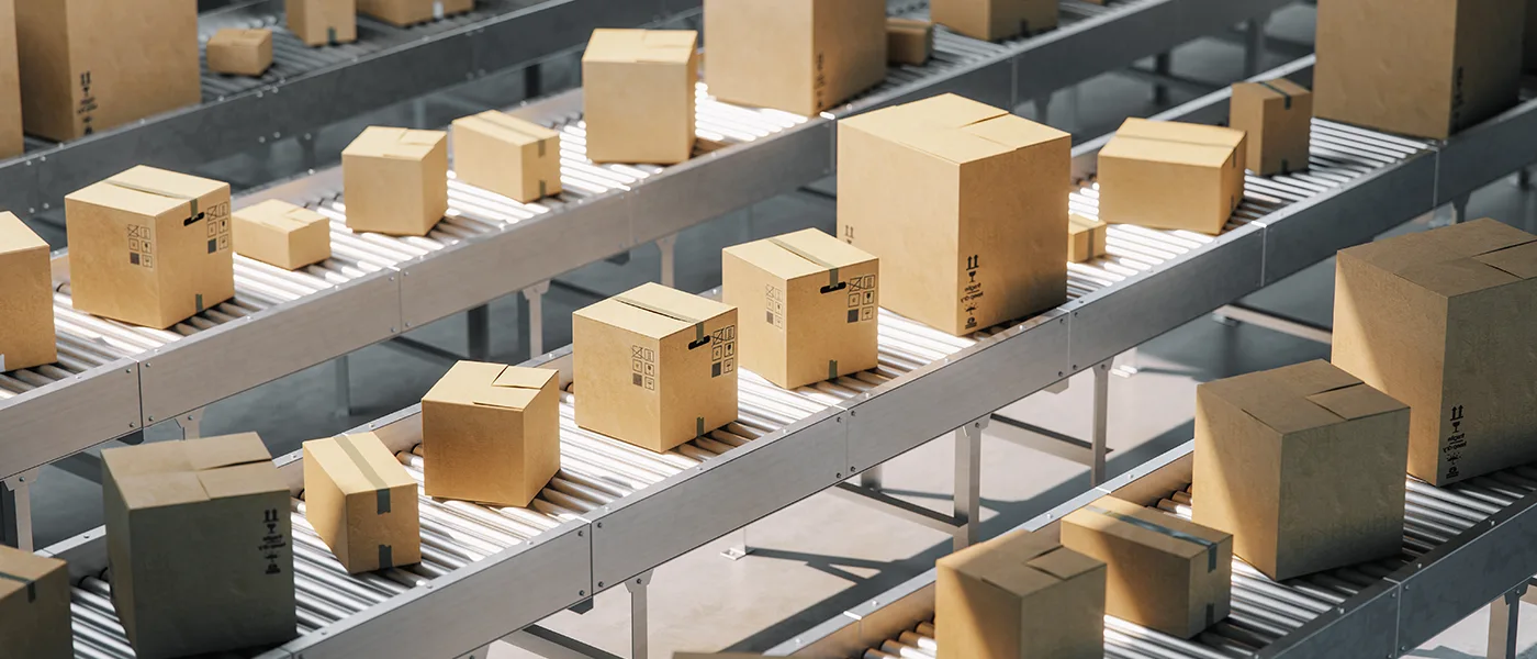 E-commerce Warehouse Packaging & Order Lineup | Locad Blog